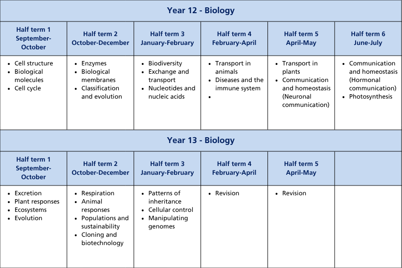 Curriculum termly tables (A4) (71)